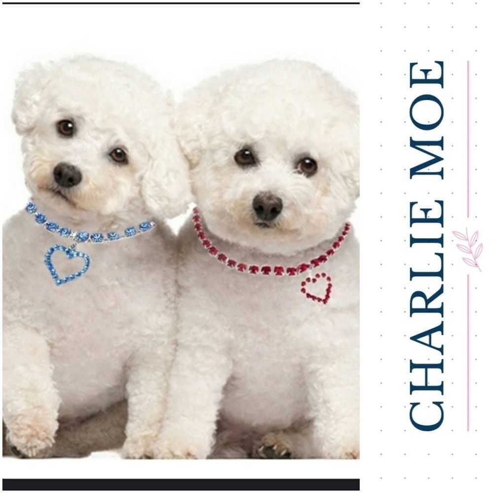 Bling Rhinestone Pet Collar
